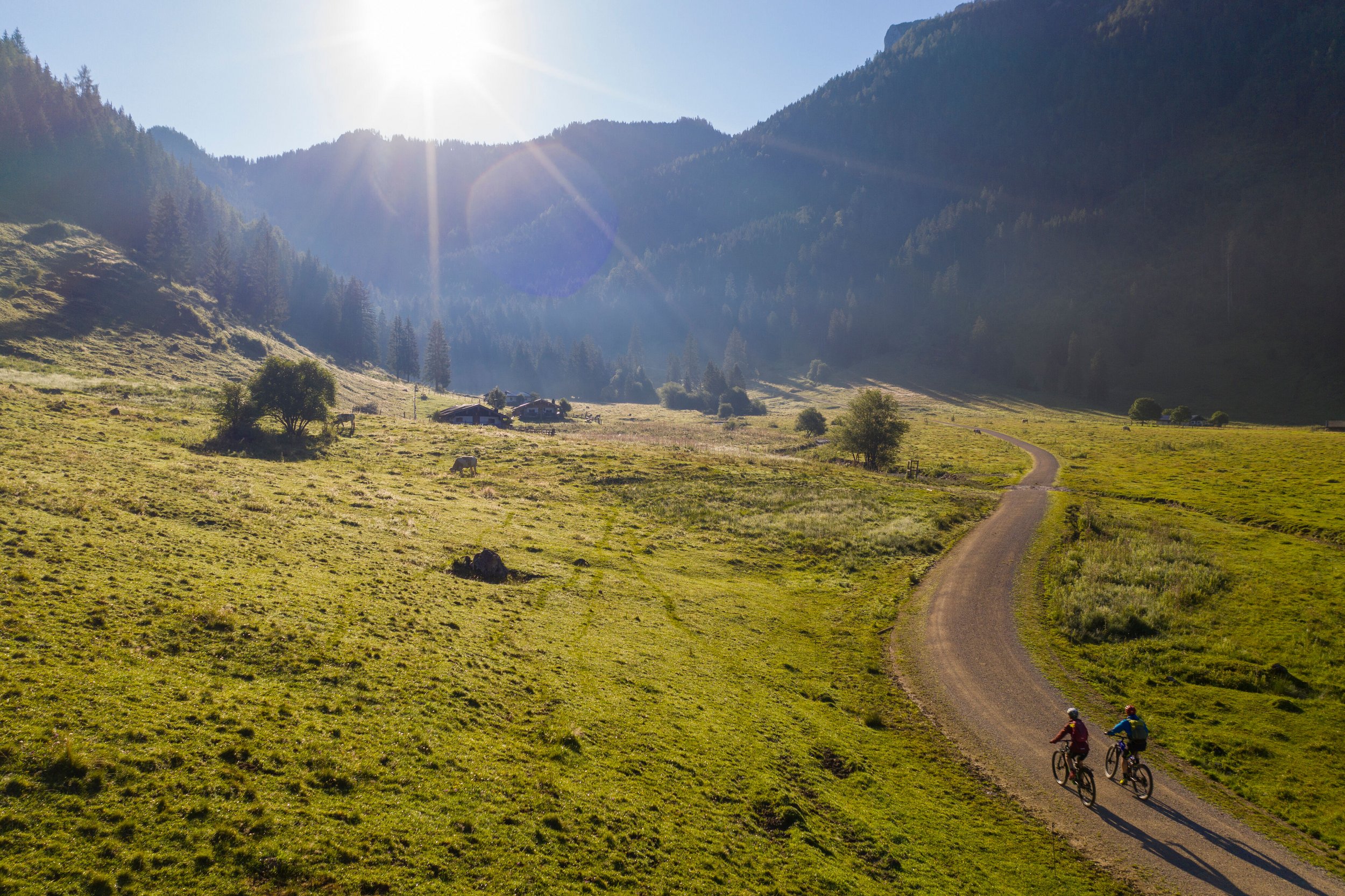 Mountainbiken bei den Röthelmoosalmen in Ruhpolding
